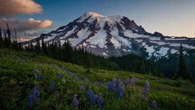 Mount Rainier National Park